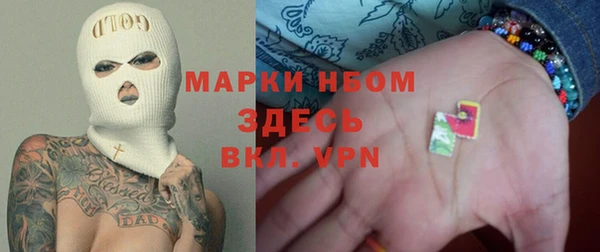 хмурый Алзамай