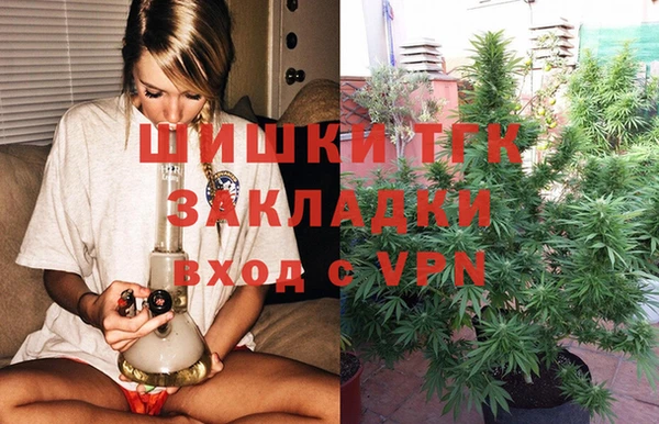 хмурый Алзамай