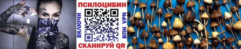 Галлюциногенные грибы мицелий  цена   Ардатов 